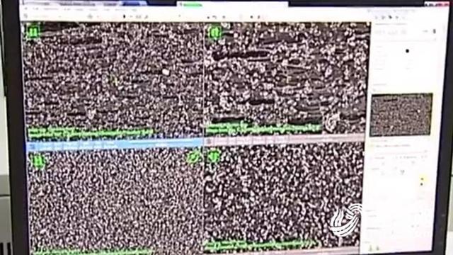 微信图片_20170815093309